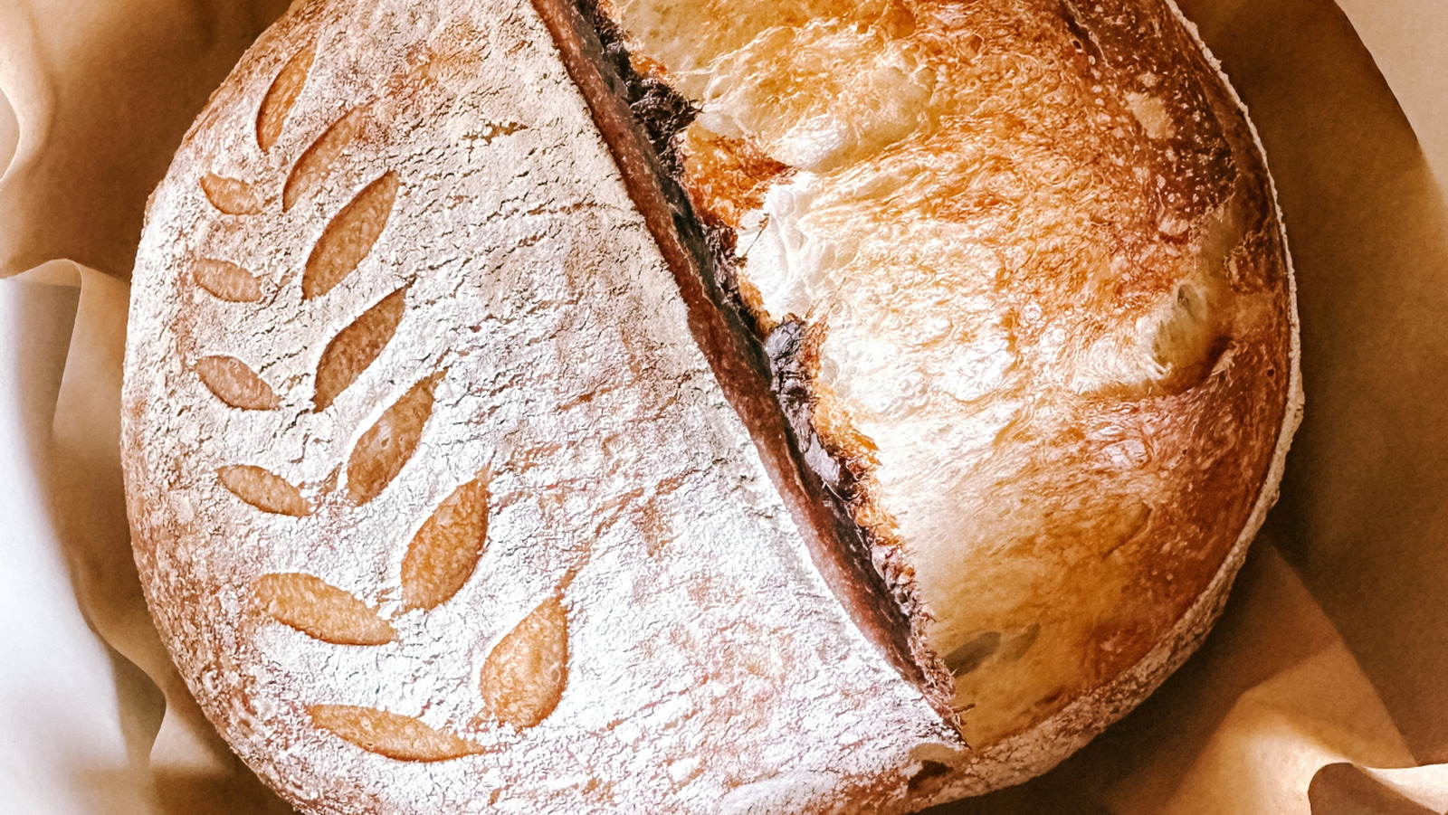 14 Info You By no means Knew About Sourdough Bread 14 Info You By no means Knew About Sourdough Bread