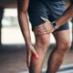 Your knees want these 9 cartilage-building meals Your knees want these 9 cartilage-building meals