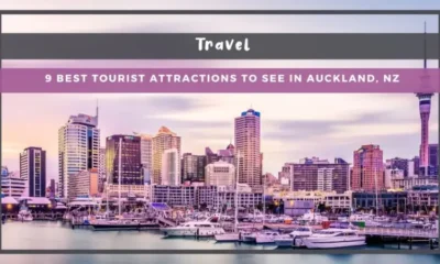 9 Greatest Vacationer Points of interest to See in Auckland, NZ