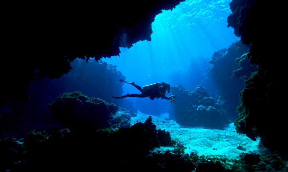 The Finest Scuba Diving within the World for Uncommon Species, Shipwrecks, and Coral Reefs