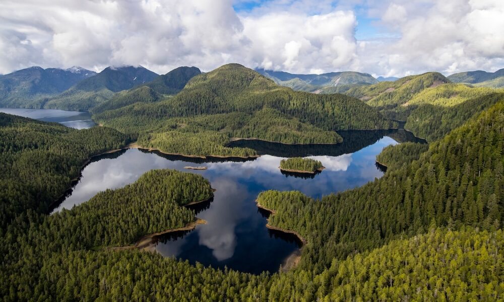 What to do on Vancouver Island’s japanese shoreline, from whale-watching to whisky tasting