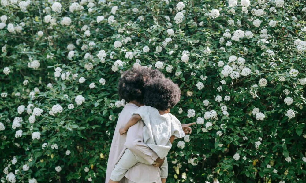 Greatest Botanical Gardens in Barcelona to Discover with the Children