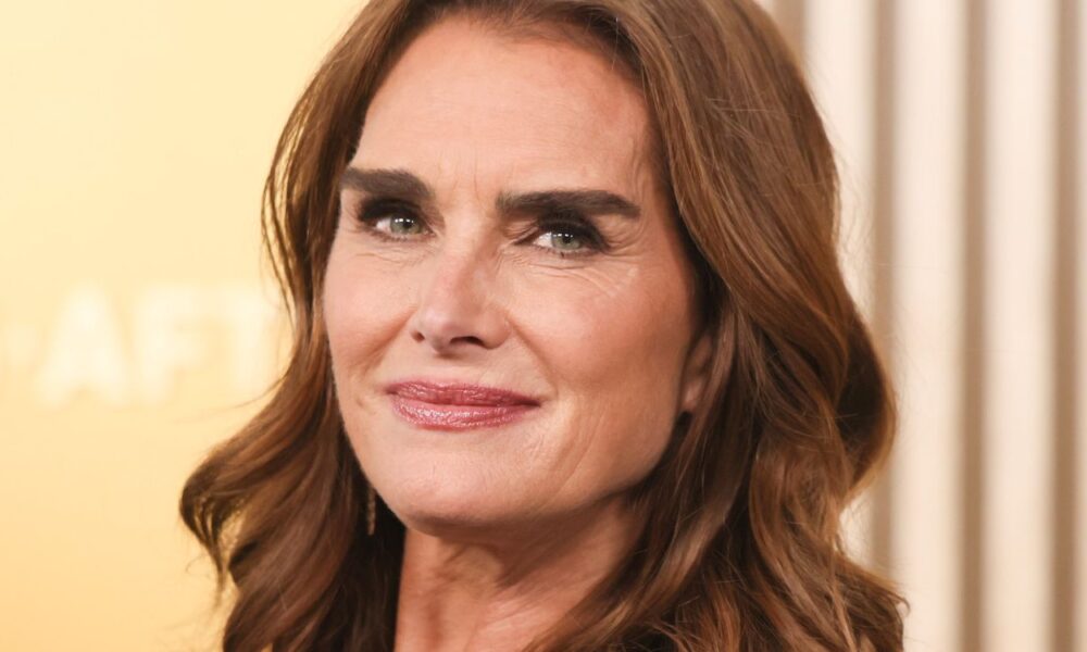 7 Brooke Shields White Eyelet Bikini Lookalikes