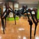 Insect Museum – Atlas Obscura