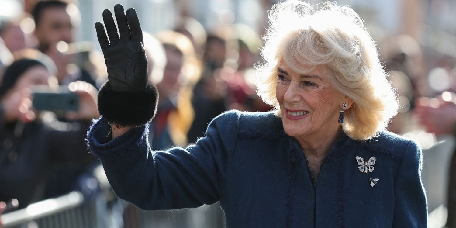 Queen Camilla Took a Necklace of Princess Diana’s and Refashioned It Right into a 7,000 Brooch