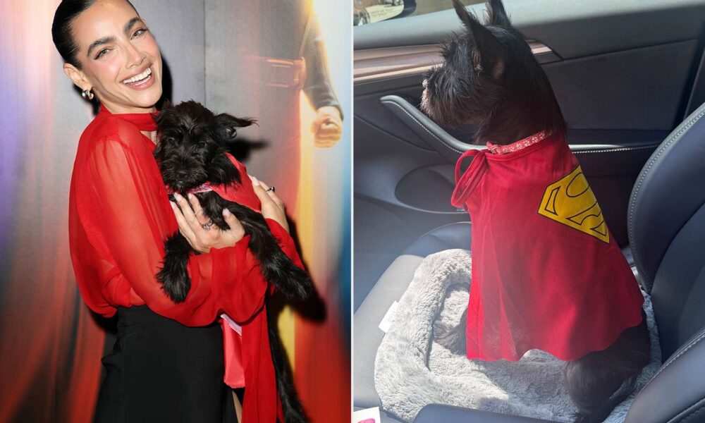 ‘Superman’ Star Will get Her Personal Krypto by Adopting Canine from Premiere Occasion