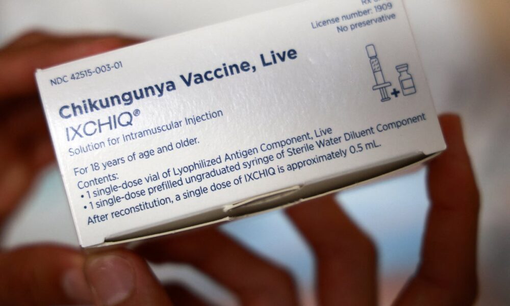 What’s chikungunya?  keep away from debilitating virus whereas on vacation as instances rise in France