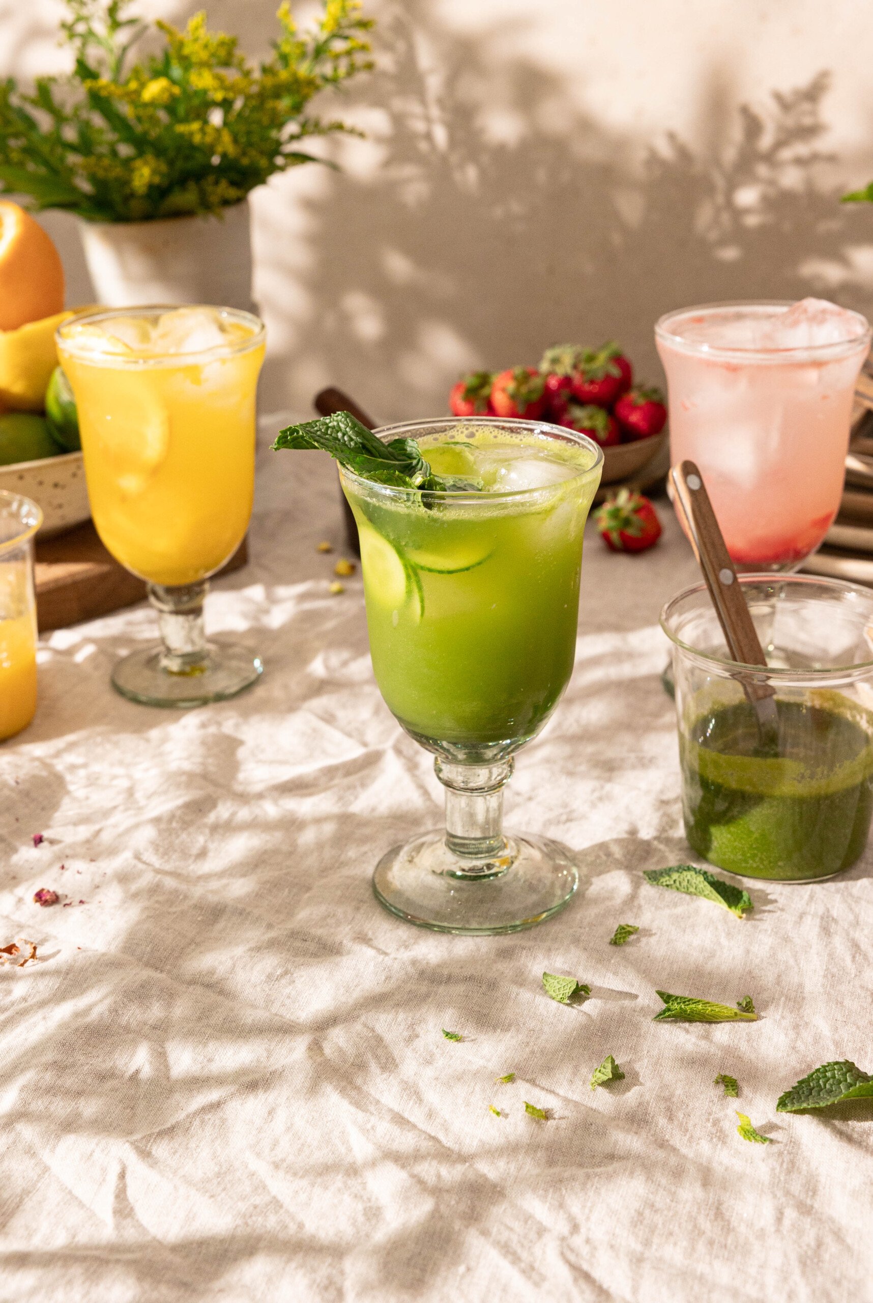 Non-Alcoholic Summer season Spritz Recipes