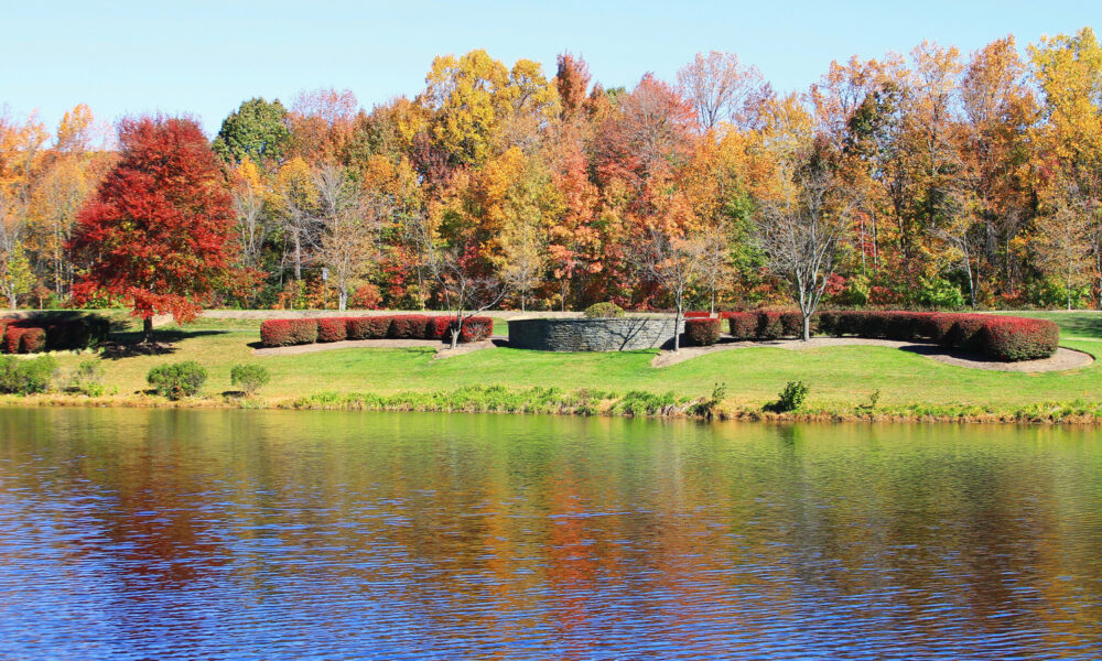 Virginia’s Cute City Much less Than An Hour From D.C. Has Artistic Craft Brews, A Distinctive Museum, And Historic Allure