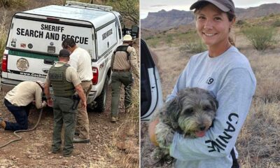 Canine Stays by Lifeless Proprietor’s Aspect for Days within the Arizona Wilderness