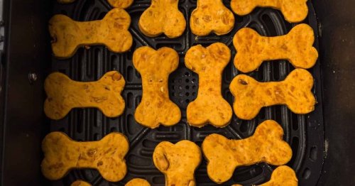 Make your canine a yummy fall deal with with these recipes