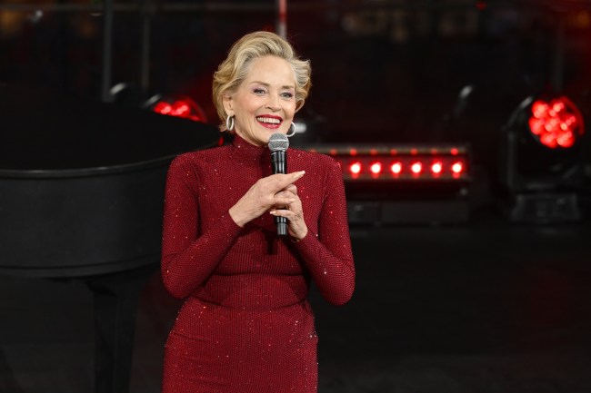 Sharon Stone Desires to Painting Phyllis Diller in Biopic