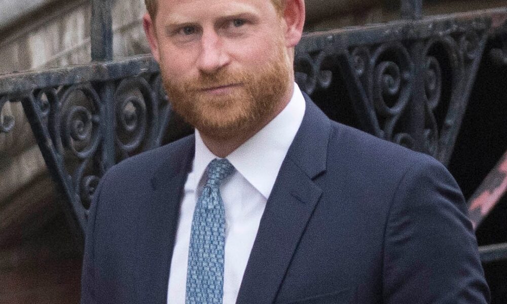 Prince Harry Denies Punching Prince Andrew