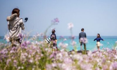 Jeju, the ‘Hawaii of South Korea,’ points tips aimed toward misbehaving international guests
