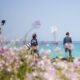Jeju, the ‘Hawaii of South Korea,’ points tips aimed toward misbehaving international guests Jeju, the ‘Hawaii of South Korea,’ points tips aimed toward misbehaving international guests