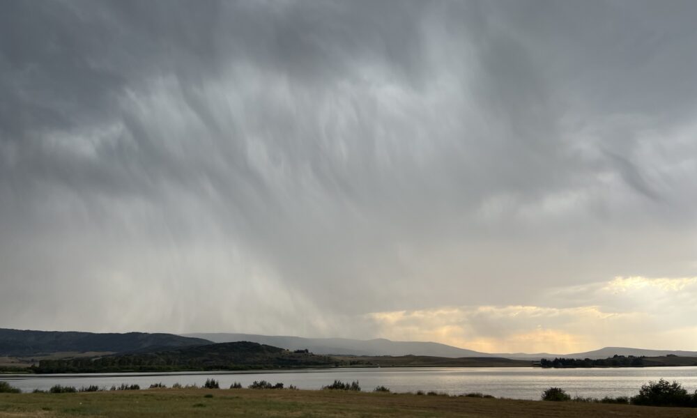 “’Climate” or not you prefer it…..it’s a wild experience on the market!