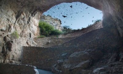 Carlsbad Caverns: Jaw-Dropping Surprise or Overhyped Detour?