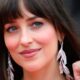 Dakota Johnson Simply Channeled Pamela Anderson With a Bombshell Updo Dakota Johnson Simply Channeled Pamela Anderson With a Bombshell Updo
