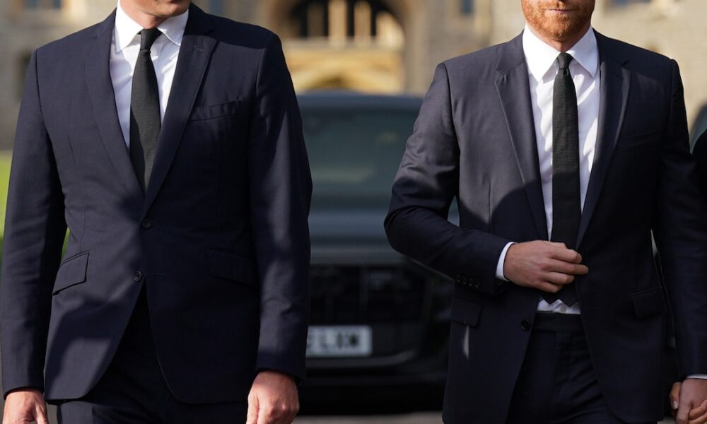 Prince Harry, Prince William, King Charles Relationship Amid Feud