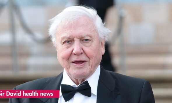 Sir David Attenborough on ‘nasty’ surgical procedure after shock coronary heart op: