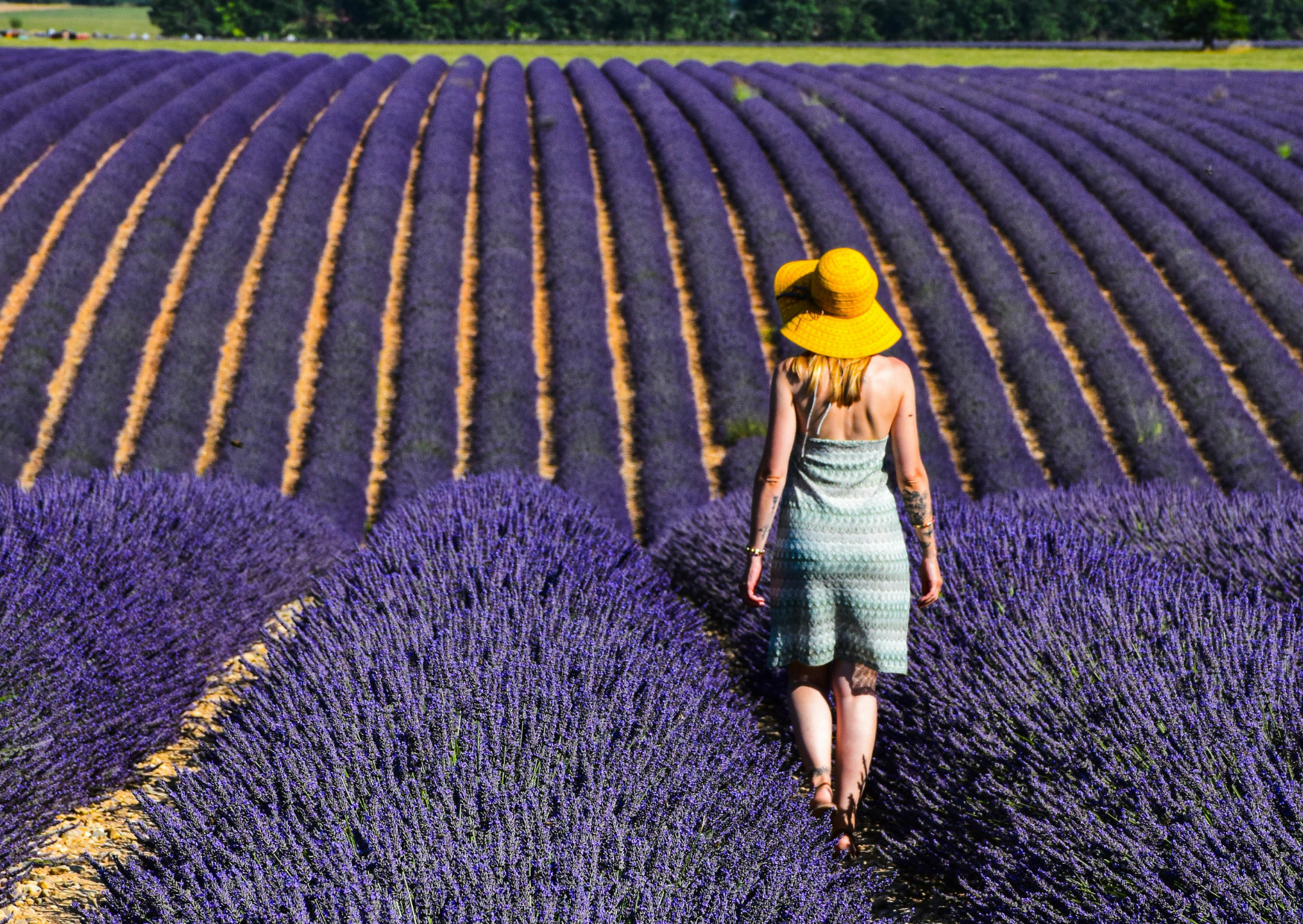 The Neglected French Visa Program That Lets People Keep Indefinitely