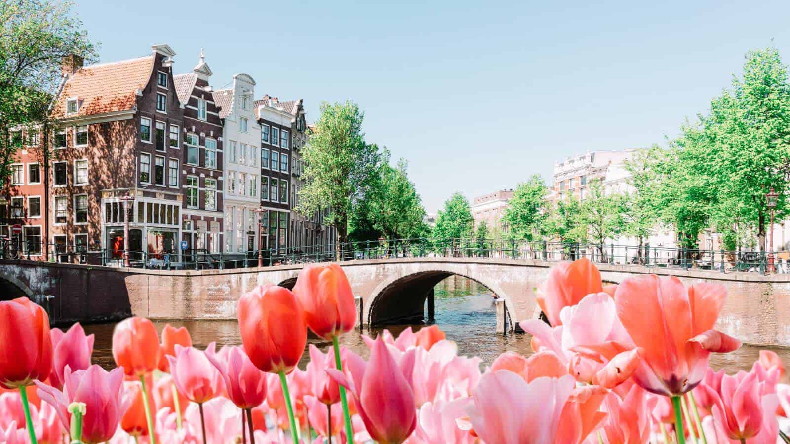 The High 10 International locations for High quality of Life – Is Yours on the Listing?