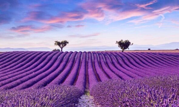 15 Lovely Locations to Go to in Provence