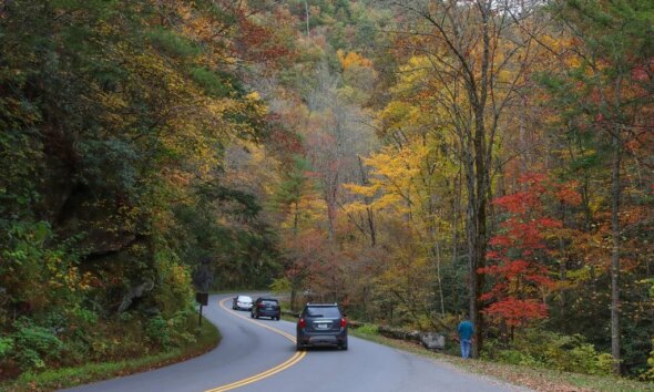 11 Greatest Nationwide Parks to Go to within the Fall