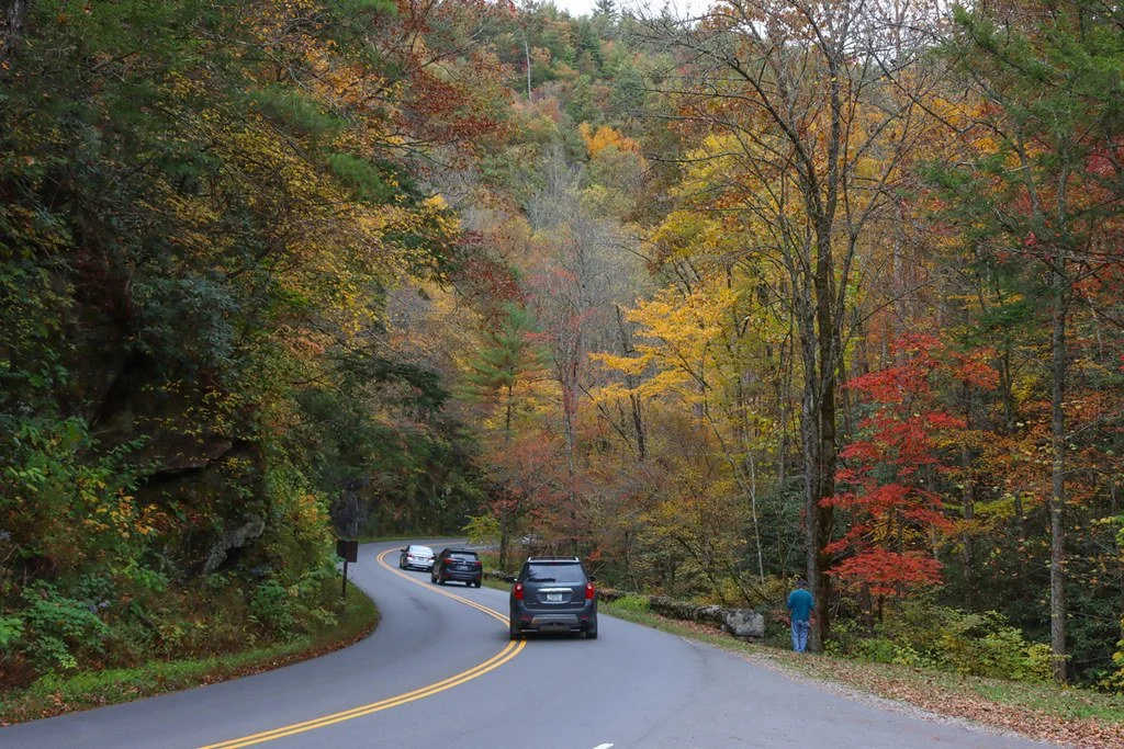 11 Greatest Nationwide Parks to Go to within the Fall