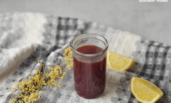 Easy Elderberry Wellness Photographs Recipe