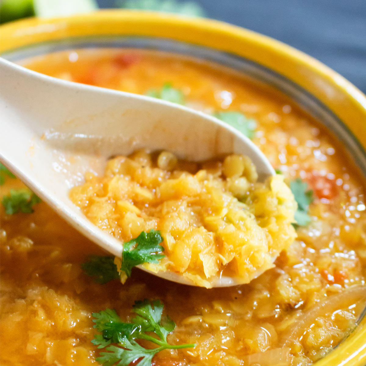 Indian Lentil Soup: The Cozy Bowl You will Want You Tried Sooner Indian Lentil Soup: The Cozy Bowl You will Want You Tried Sooner