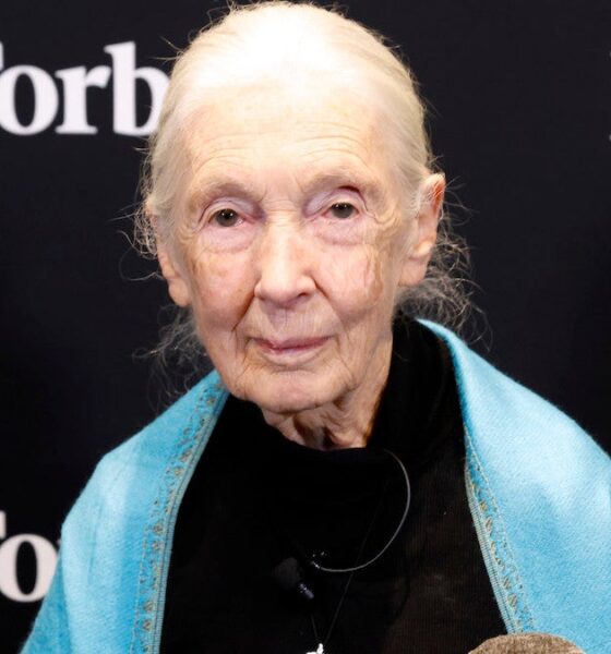 Jane Goodall, Famed Primate Scientist and Animal Advocate, Dies at 91