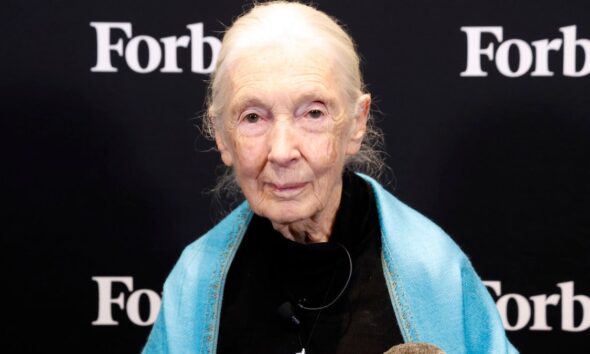 Jane Goodall, Famed Primate Scientist and Animal Advocate, Dies at 91